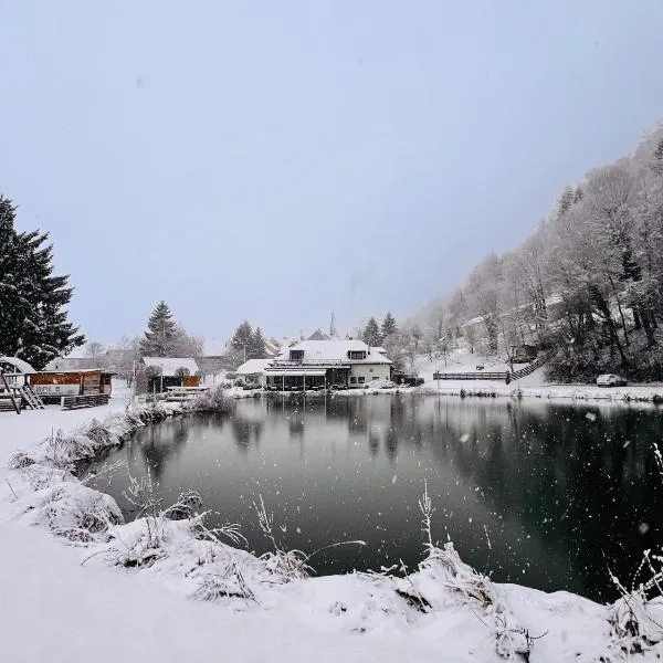 Kozjanski dvor，位于博德森特克的酒店