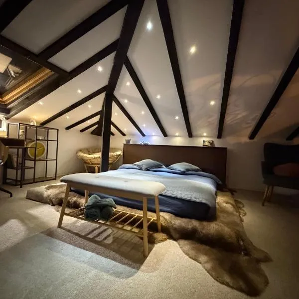 Къща за гости Mia Maria，位于Tutrakan的酒店