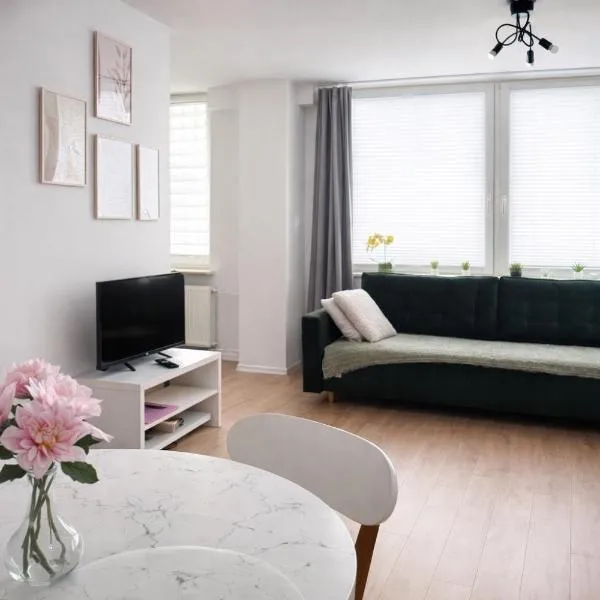 Apartament Świdnik Kosik，位于斯维德尼克的酒店