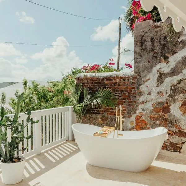 The Pink Palm Hotel - Adults Only，位于夏洛特阿马利亚的酒店