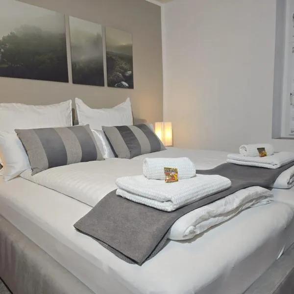 APART Studio Suites - Dessau-Roßlau Free Parking，位于德绍的酒店