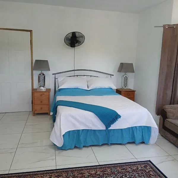 Cambridge Heights Guest House，位于Port Maria的酒店