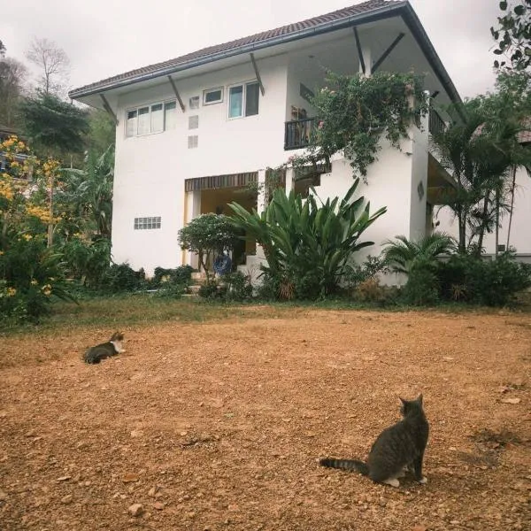 Fluffy Cat Paradise，位于Ko Bu Bu的酒店