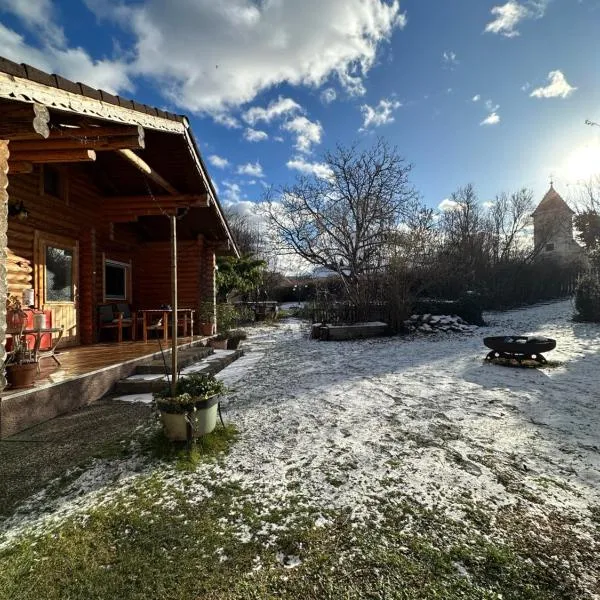 Gemütliche Blockhütte in Wiennähe，位于Zöfing的酒店