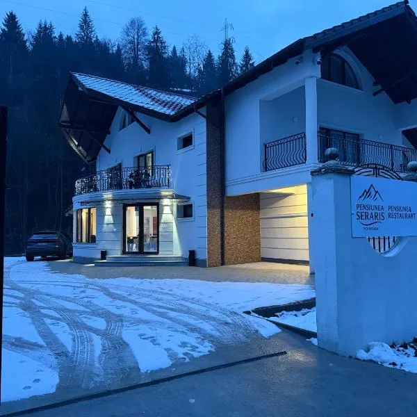 Pensiunea Seraris，位于沃伊内亚萨的酒店
