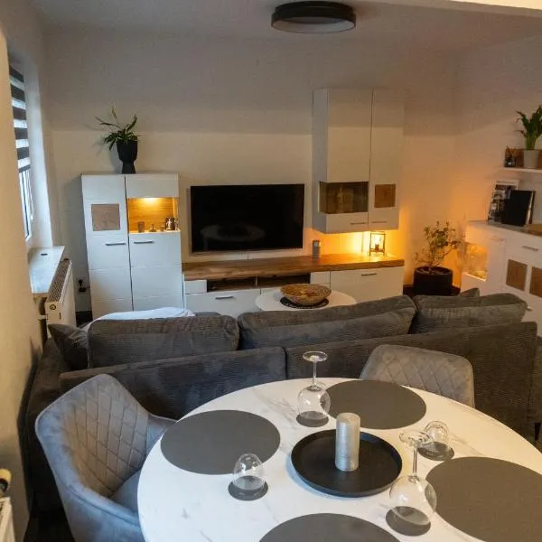 Ferienwohnung Gleesbergquelle，位于Aue-Bad Schlema的酒店