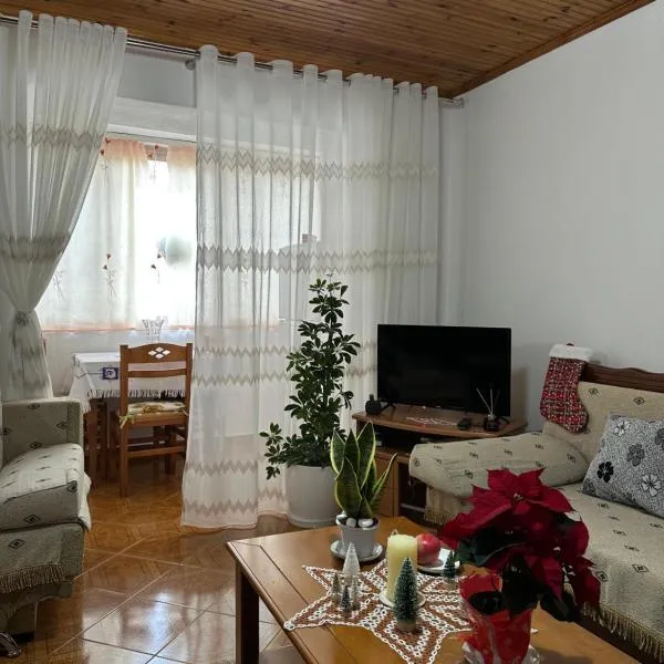 Apartament，位于Leskovik的酒店