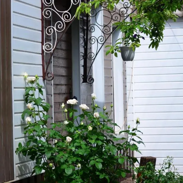 Cottages On Gdantsevskaya Street，位于Rakhmanovka的酒店