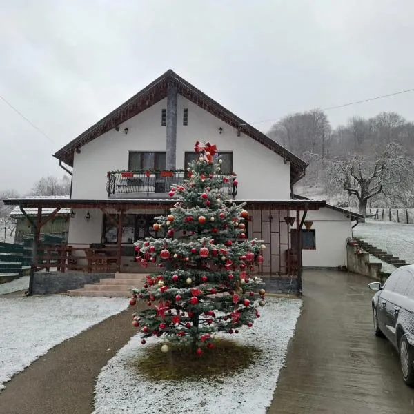 Casa Alex，位于Oeşti-Pămînteni的酒店