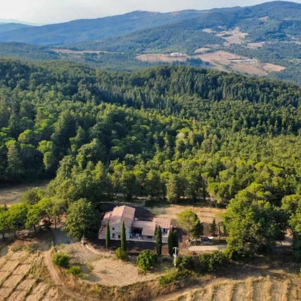Podere Cagnesi Relax nella natura，位于Sasso Pisano的酒店