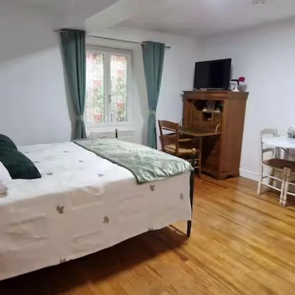 Charmant studio - Centre historique de Crémieu，位于Crémieu的酒店