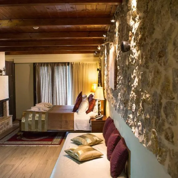 Archontopetra Boutique Hotel，位于梅加克瑞奥的酒店