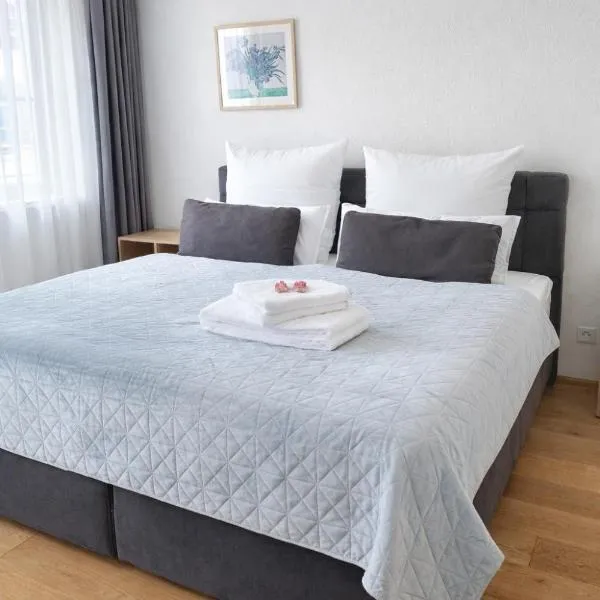 Casa Rheinblick - Apartment C，位于巴塞尔的酒店