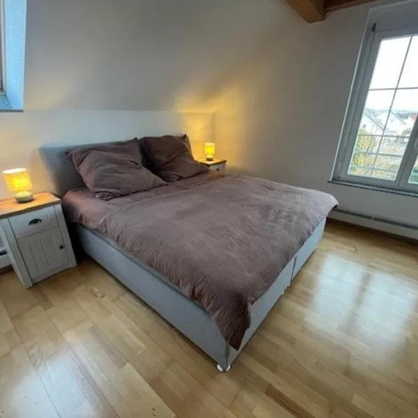 Stylish apartment near Rheinfall Schaffhausen，位于耶斯特滕的酒店