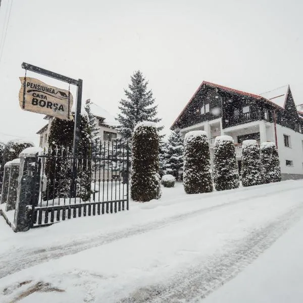 Pensiune Borsa，位于博尔沙的酒店