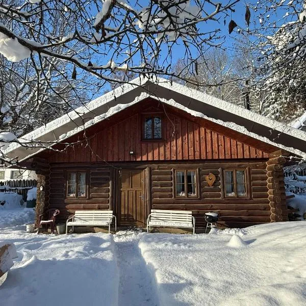 SRUB pod třešněmi - Cherry Trees Cabin，位于弗尔赫拉比的酒店