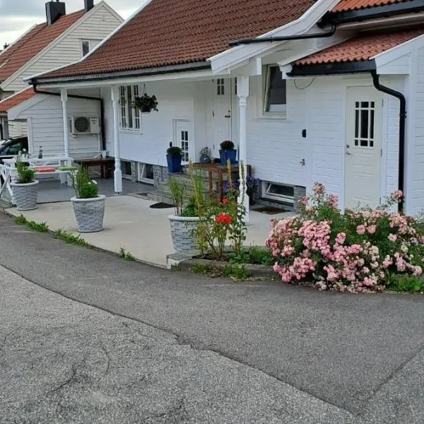 Apartment Tryms vei 20a - Stor Leilighet，位于克里斯蒂安桑的酒店