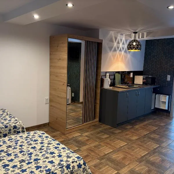 Agrobiskupin Kaczmarek 2，位于Gąsawa的酒店