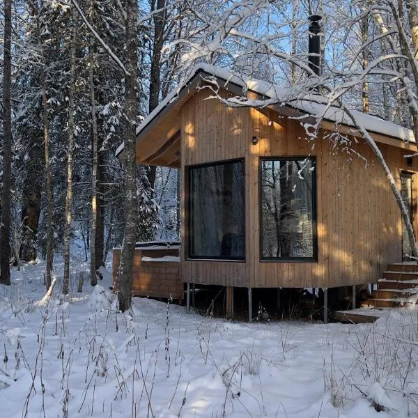 Paunküla Nature Resort (forest villa)，位于Ardu的酒店