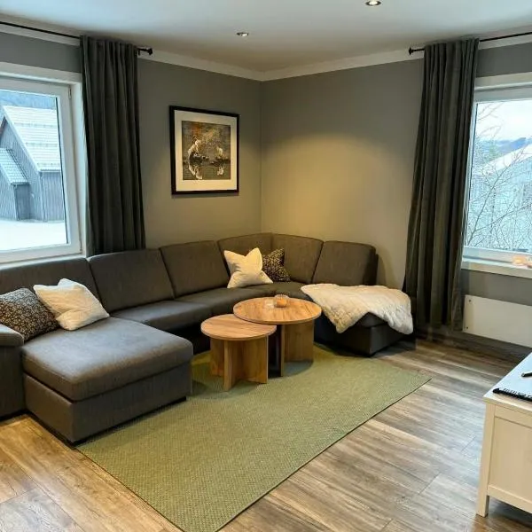 Large apartment, in the middle of Gol city center!，位于高尔的酒店