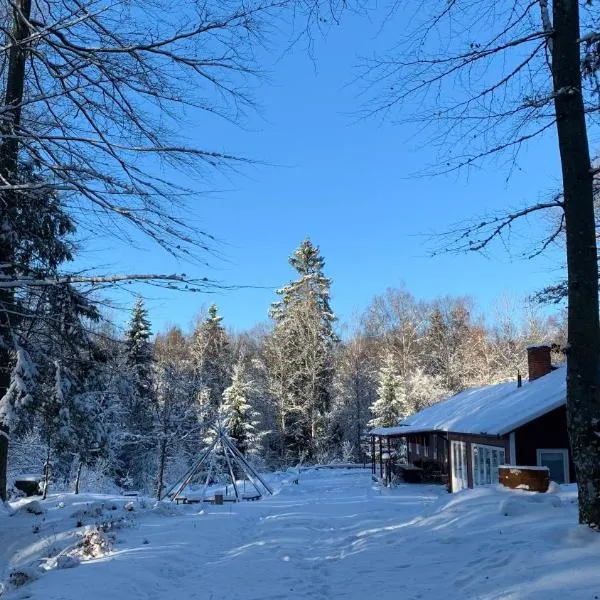 Boafall Lodge，位于Jämshög的酒店