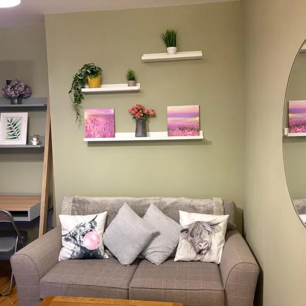 13 Chute Street free parking for one vehicle，位于埃克塞特的酒店