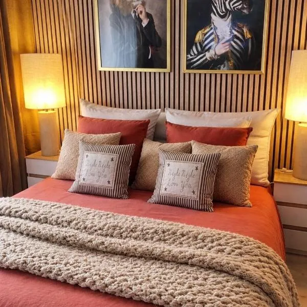 Petit Cocon des Rives Proche Stanislas，位于南希的酒店