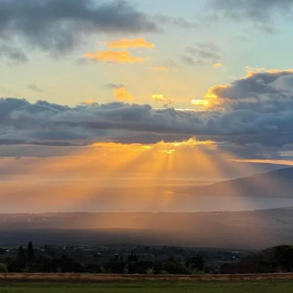 Maui Bird House，位于库拉的酒店