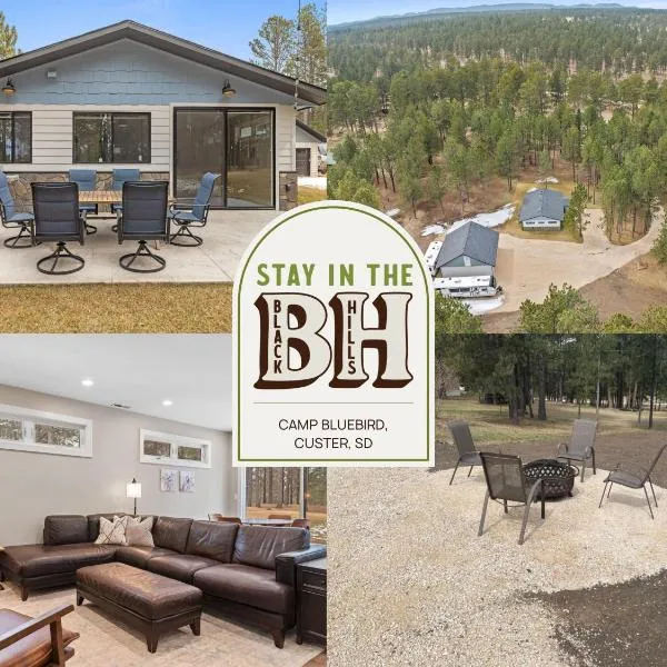 Camp Bluebird，位于卡斯特的酒店