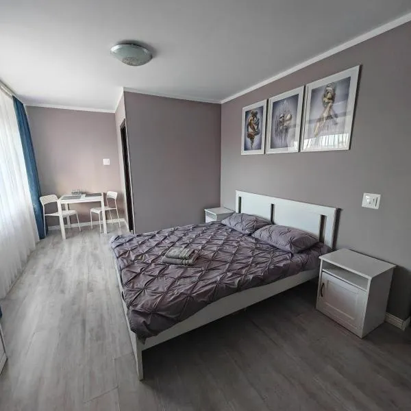 EVA's Rooms，位于特尔古穆列什的酒店