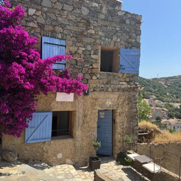 CASA MIA - Maison et chambres à louer à Corbara，位于科尔巴拉的酒店