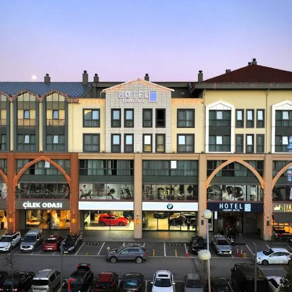 Hotel54，位于萨卡里亚的酒店