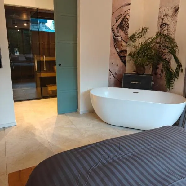 Huize Triangel - Wellness studio met sauna，位于Noordwolde的酒店