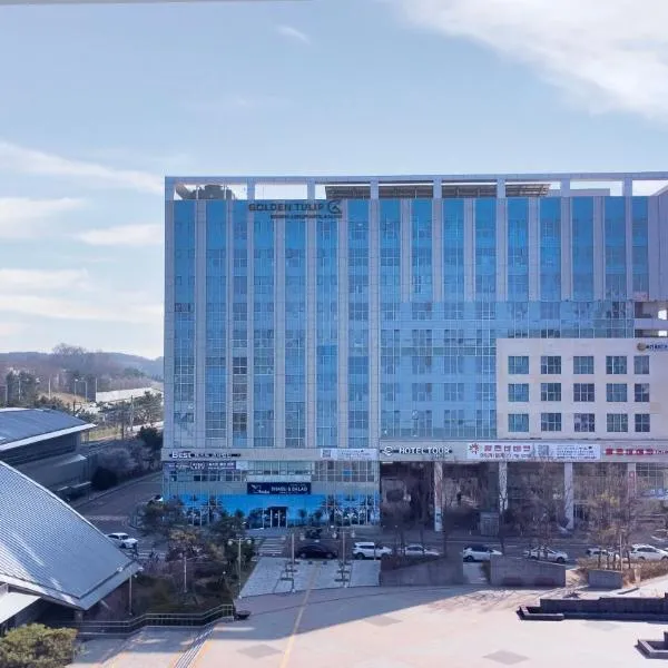 Incheon Airport Global Hotel & Suites，位于仁川市的酒店