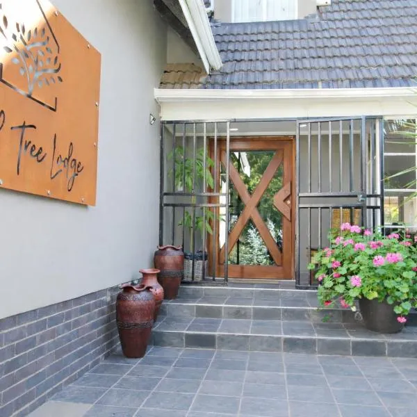 Wild Tree Lodge，位于伯诺尼的酒店