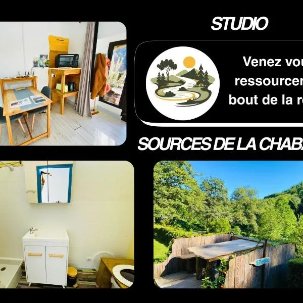 Studio aux Sources de la Chabanne，位于Saint-Hilaire-les-Courbes的酒店