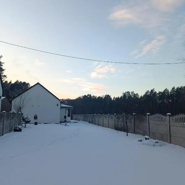 Leśny Domek，位于Piłka的酒店