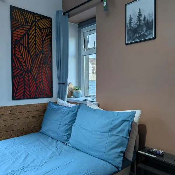 R3 - Cozy Small Double - City & Beach Access, WIFI, Free Parking, Bus Stop 50ft From House - Self Catering，位于斯旺西的酒店