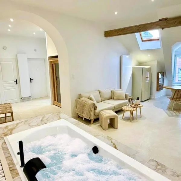 Sublime Loft avec Spa Privatif & Sauna, Hyper Centre, Parking facile，位于埃皮纳勒的酒店