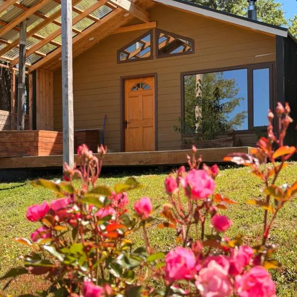 Cabañas Altos del Sollipulli，位于Rumiñano的酒店