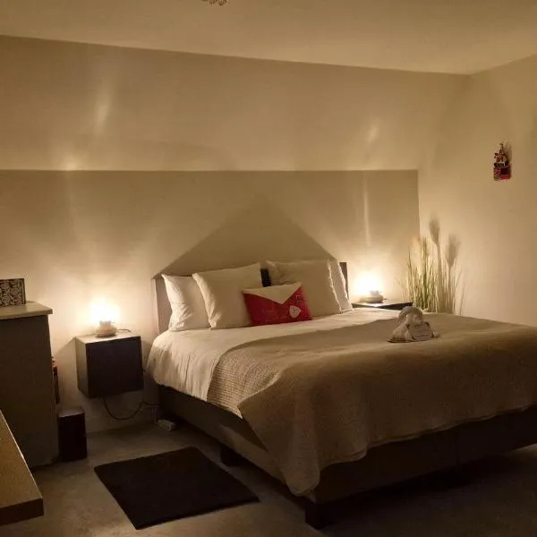 Dalerheugte Drenthe B&B Comfort met eigen badkamer en ontbijt à la carte op de kamer，位于Dalerveen的酒店