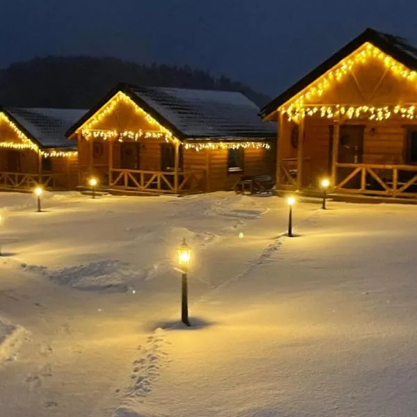 Domki Sudecka Przystań，位于杜什尼基-兹德鲁伊的酒店