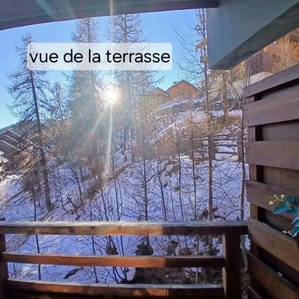 T2 cosy à 2 schuss des pistes，位于皮伊圣万桑的酒店