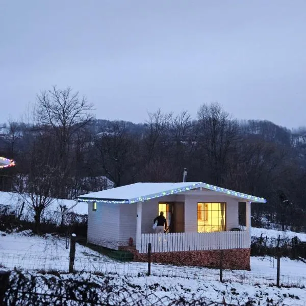 Căsuțele bucuriei，位于Pucioasa的酒店