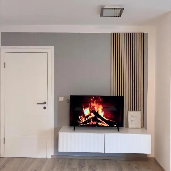 Apartman Sofija centar，位于泰斯利奇的酒店