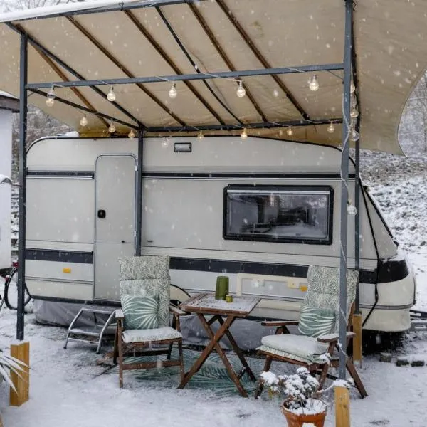 NatureCity Adventure in Camper - also in winter with heating - Ruhe, Garten, Hängematte, Heizung, AirCooler, Kaffeemaschiene, großes Bett, kostenlose Fahrräder, Outdoordusche, 25 min zum Alexanderplatz und Fernsehturm，位于柏林的酒店