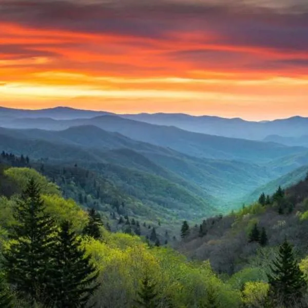 Entire Home in the Heart of Cherokee NC，位于惠提尔的酒店