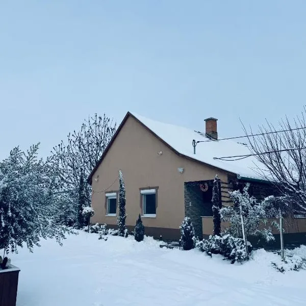 Arany Vendégház，位于索尔沃什的酒店