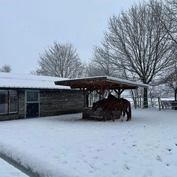 Equi Guidance Studio，位于Wapenveld的酒店