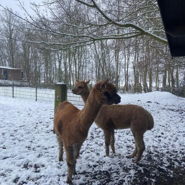 Grutsk op 12，位于德拉赫滕的酒店